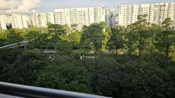 Blk 509 Choa Chu Kang Street 51 (Choa Chu Kang), HDB 5 Rooms #558028011